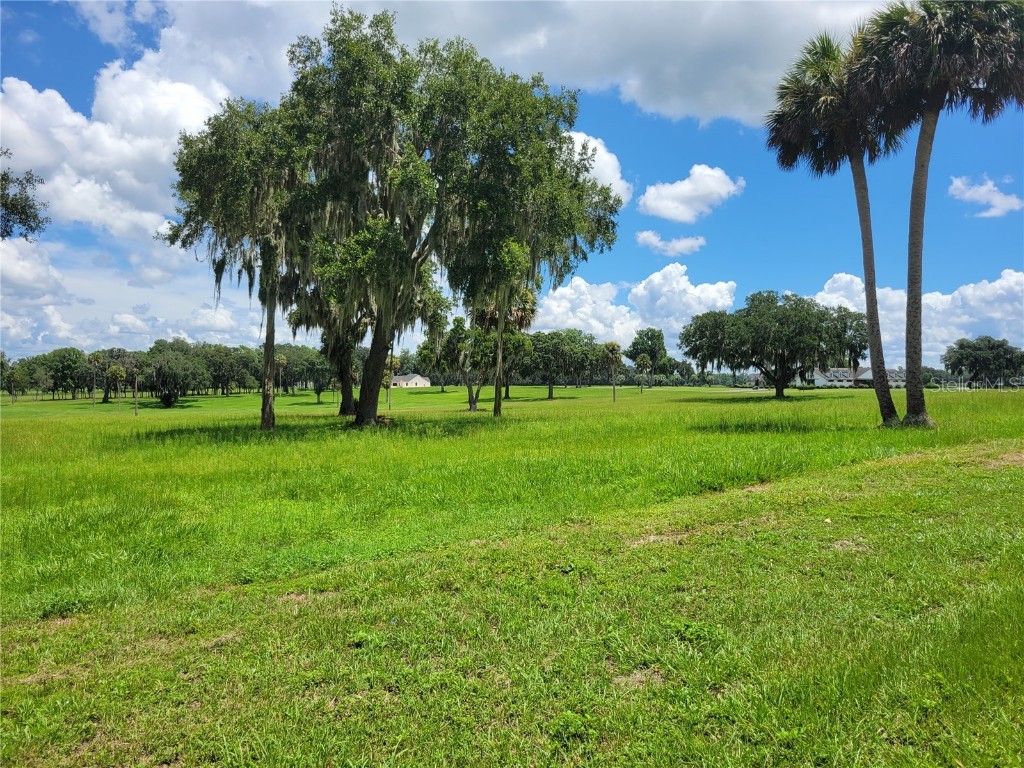 0 SE 61st Terrace Road #16 Summerfield FL 34491 - LAKE LOTUS OM681354 image8