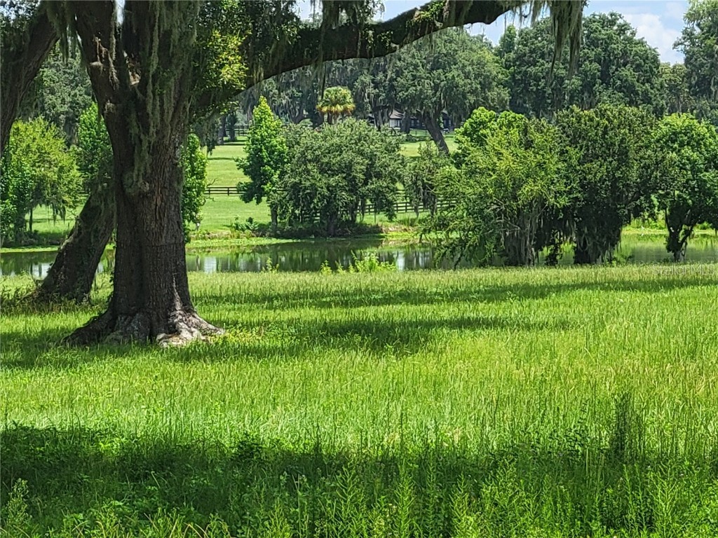 0 SE 61st Terrace Road #16 Summerfield FL 34491 - LAKE LOTUS OM681354 image9