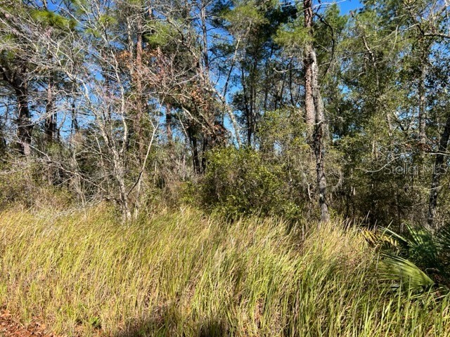 0 SE 63rd Place #LOT 2 Morriston FL 32668 OM671818 image1
