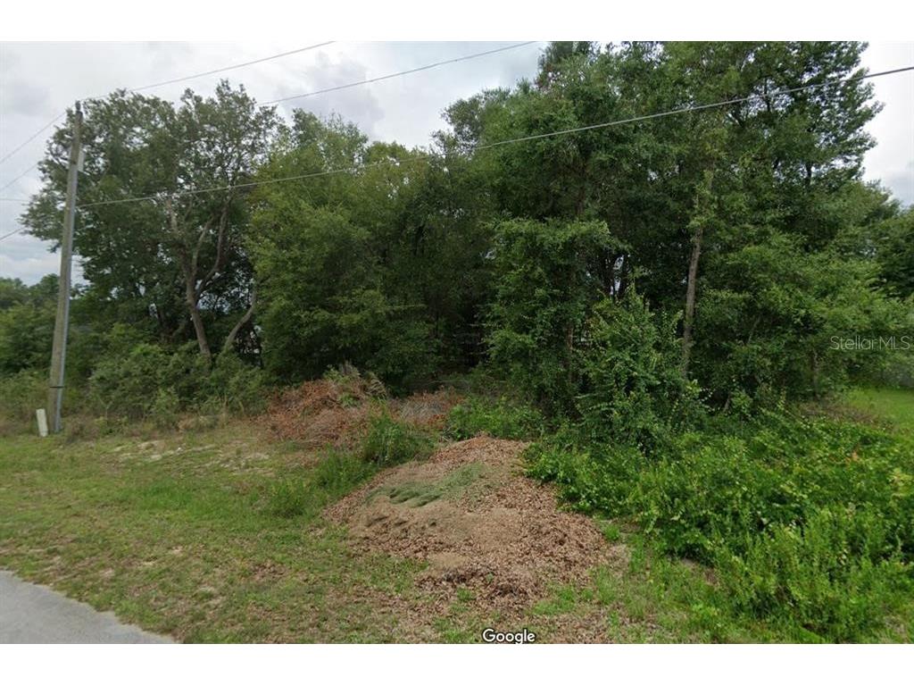 0 SE 83 Court Summerfield FL 34491 J971021 image1