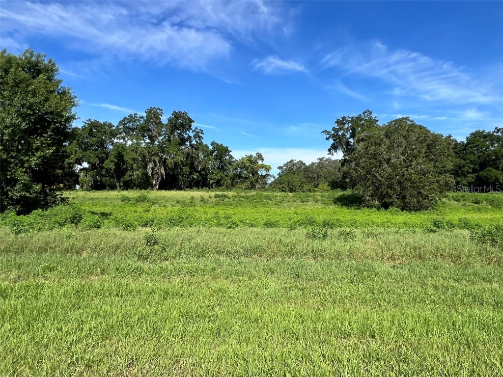 0 SE 8th Avenue #LOT 5 Ocala FL 34480 OM634637 image1