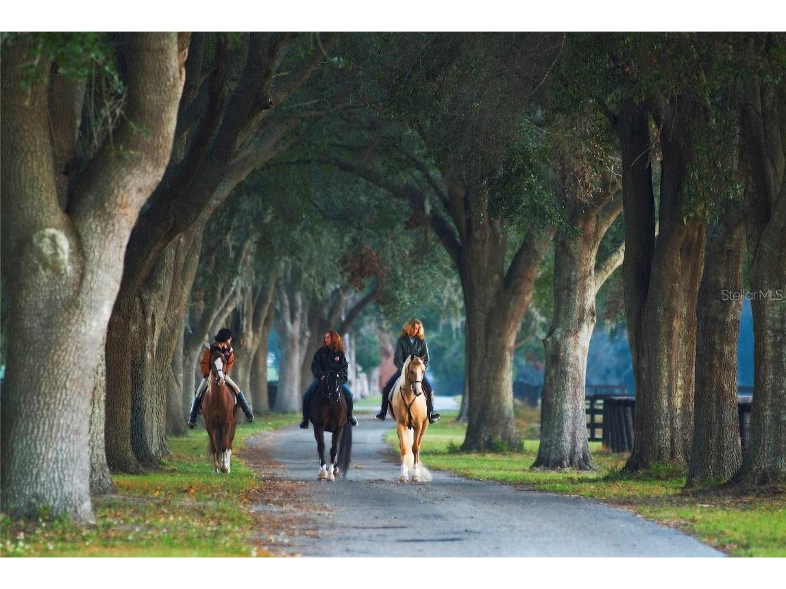 0 SE 8th Avenue #LOT 5 Ocala FL 34480 OM634637 image4