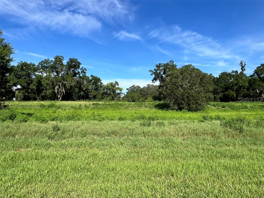 0 SE 8th Avenue #LOT 5 Ocala FL 34480 OM634637 image5