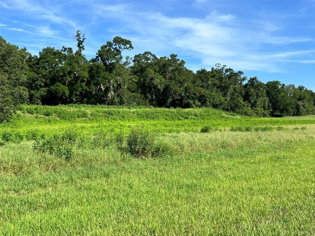 0 SE 8th Avenue #LOT 5 Ocala FL 34480 OM634637 image6
