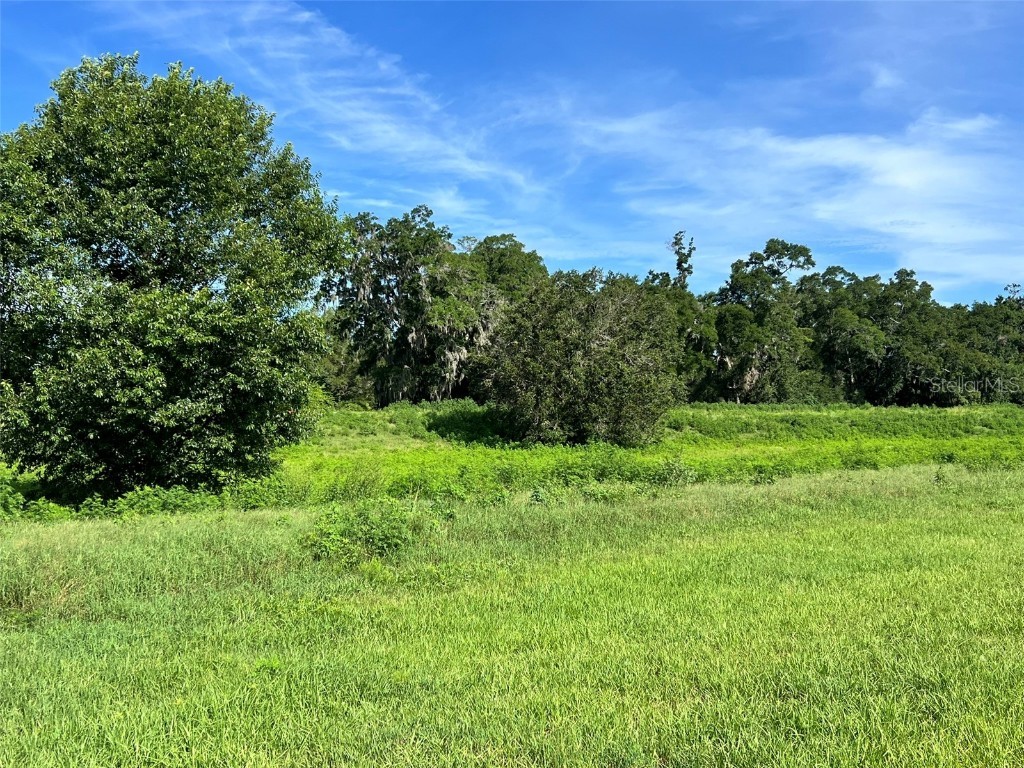 0 SE 8th Avenue #LOT 5 Ocala FL 34480 OM634637 image7
