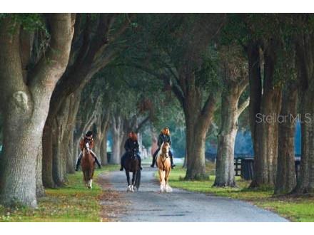 0 SE 8th Avenue Ocala FL 34480 OM634642 image2