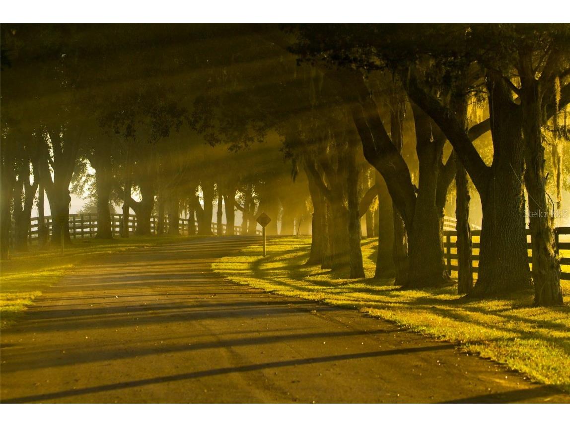 0 SE 8th Avenue Ocala FL 34480 OM634642 image3