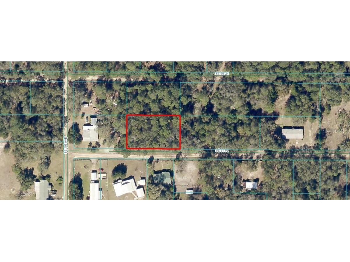 0 SE 91st Place Ocklawaha FL 32179 A4629937 image1