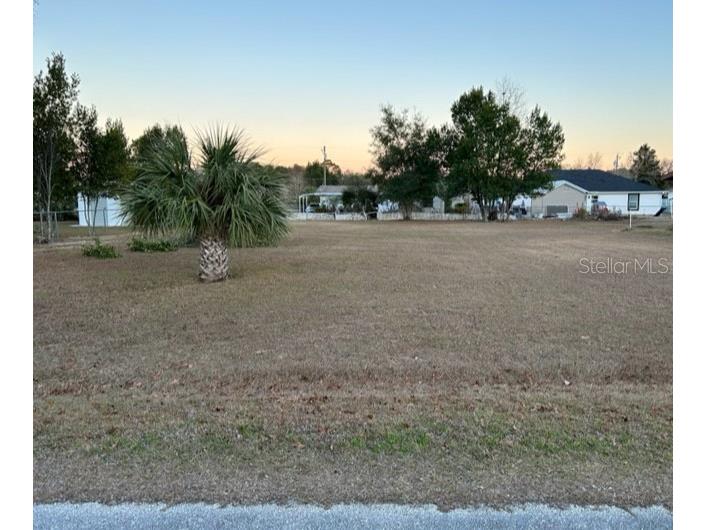 0 SE 92nd Avenue Summerfield FL 34491 OM652798 image1