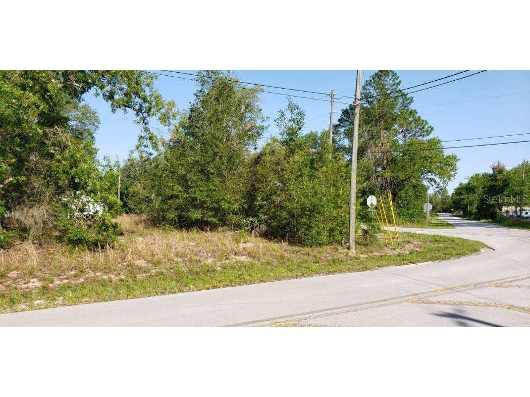 0 SE 92nd Court Summerfield FL 34491 OM659010 image1