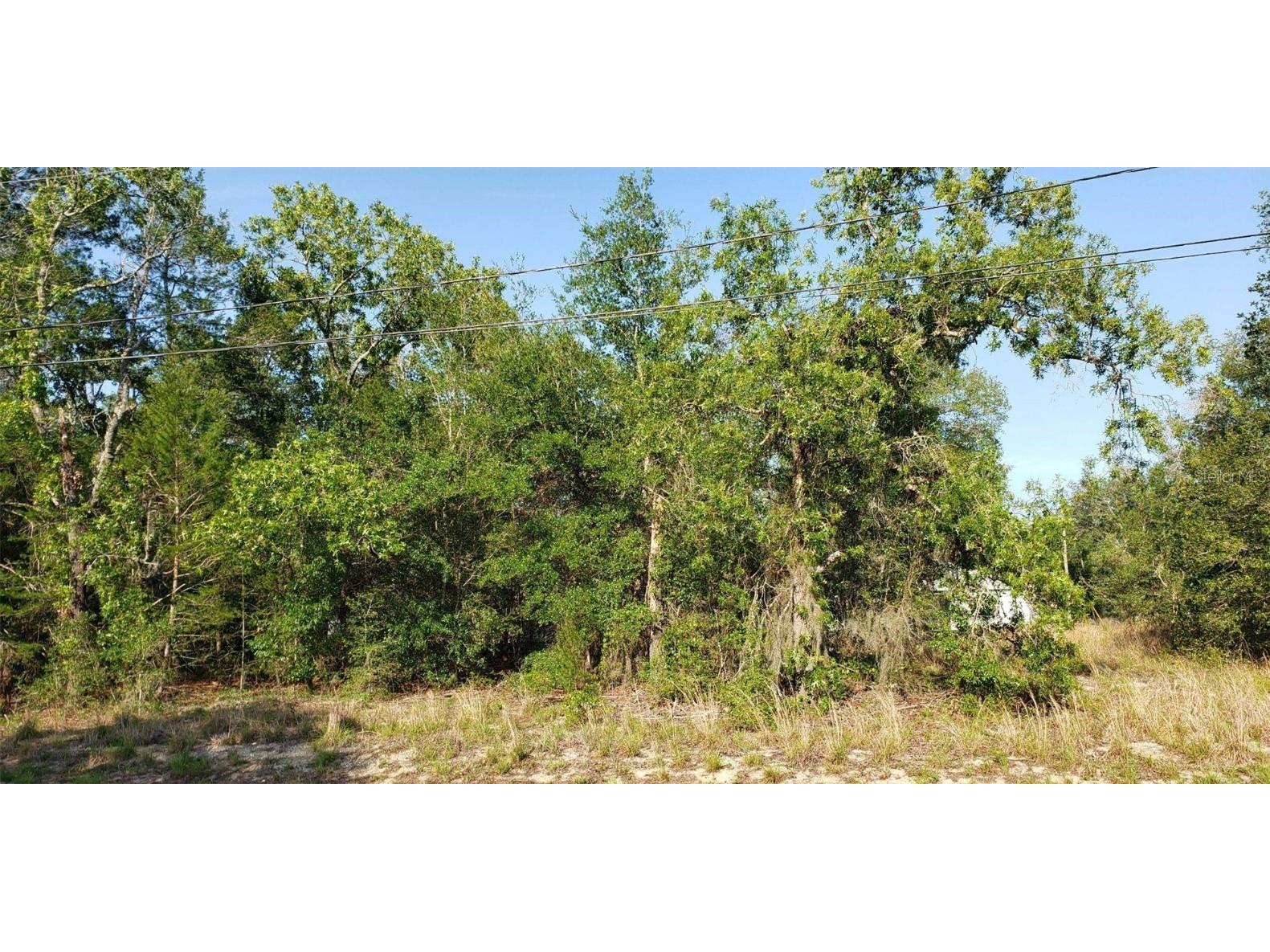 0 SE 93rd Avenue Summerfield FL 34491 OM659012 image1