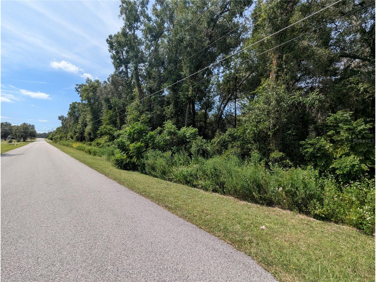 0 SE 99th Avenue Summerfield FL 34491 OM719405 image11