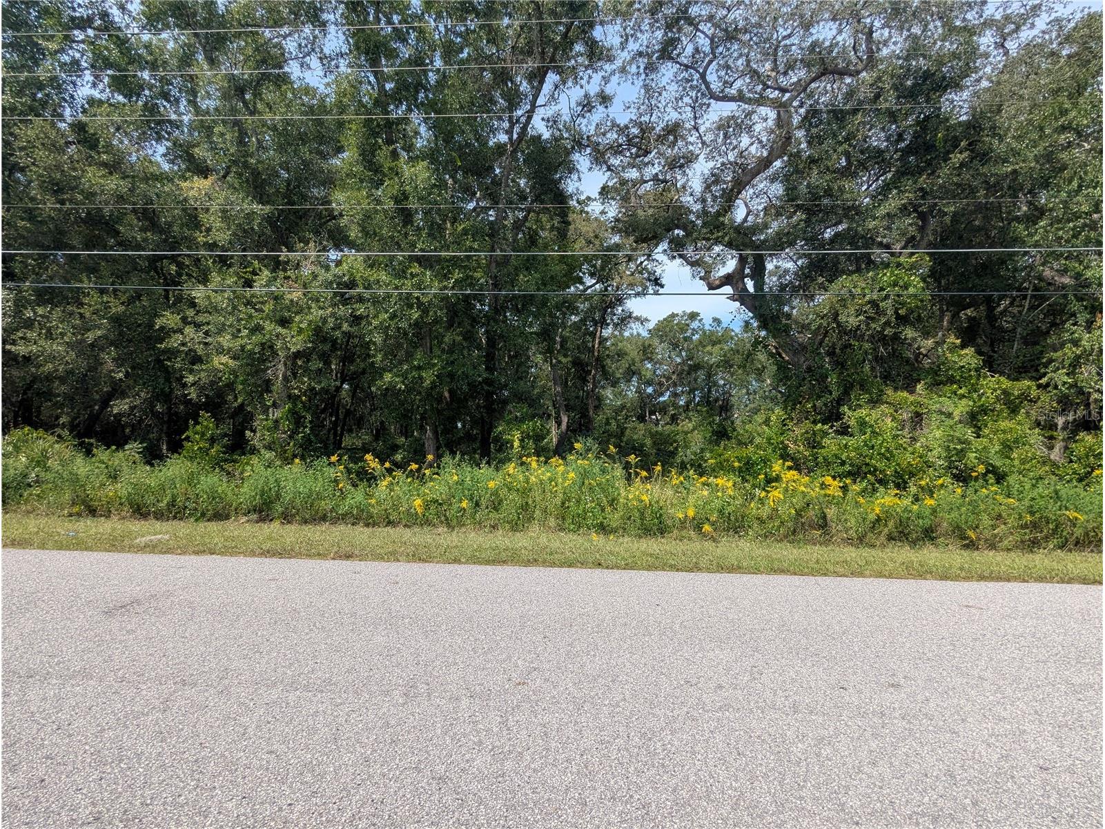 0 SE 99th Avenue Summerfield FL 34491 OM719405 image8