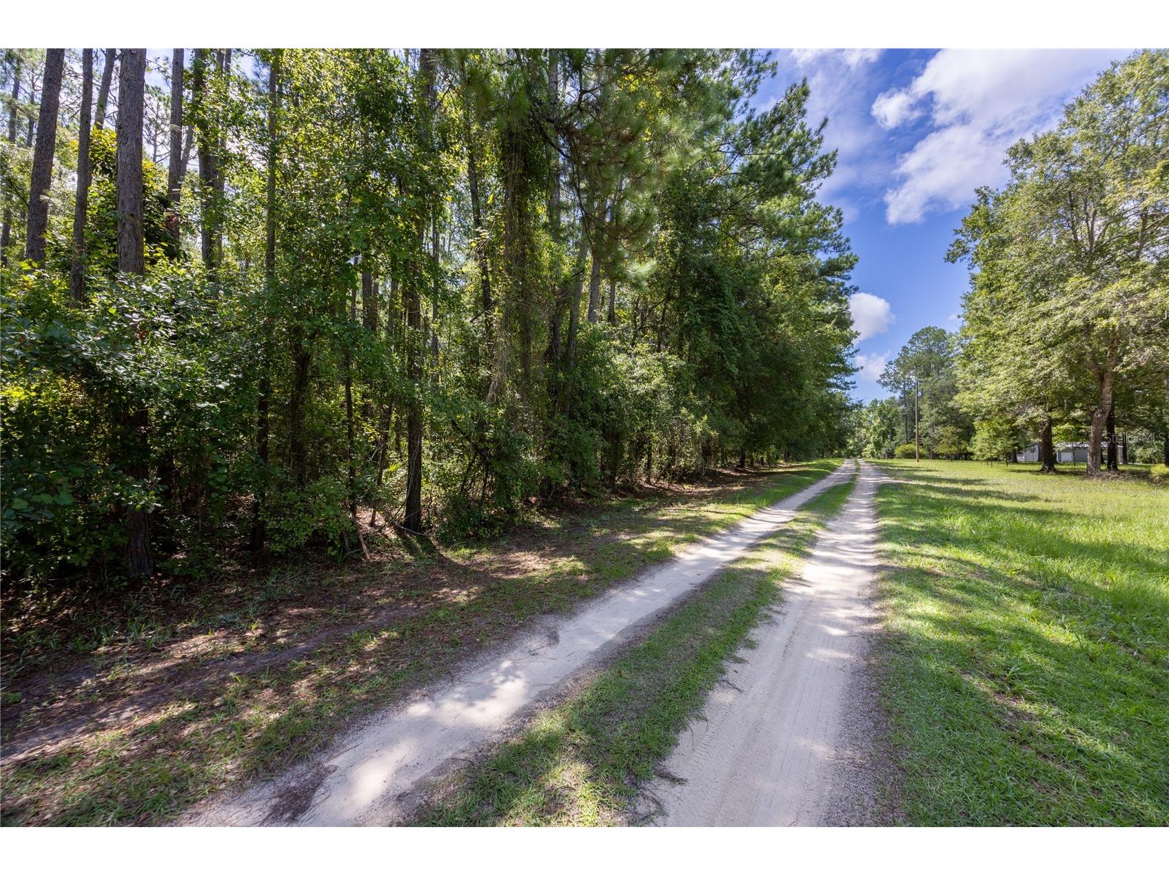 0 SE Hawthorne Road Hawthorne FL 32640 GC524086 image3