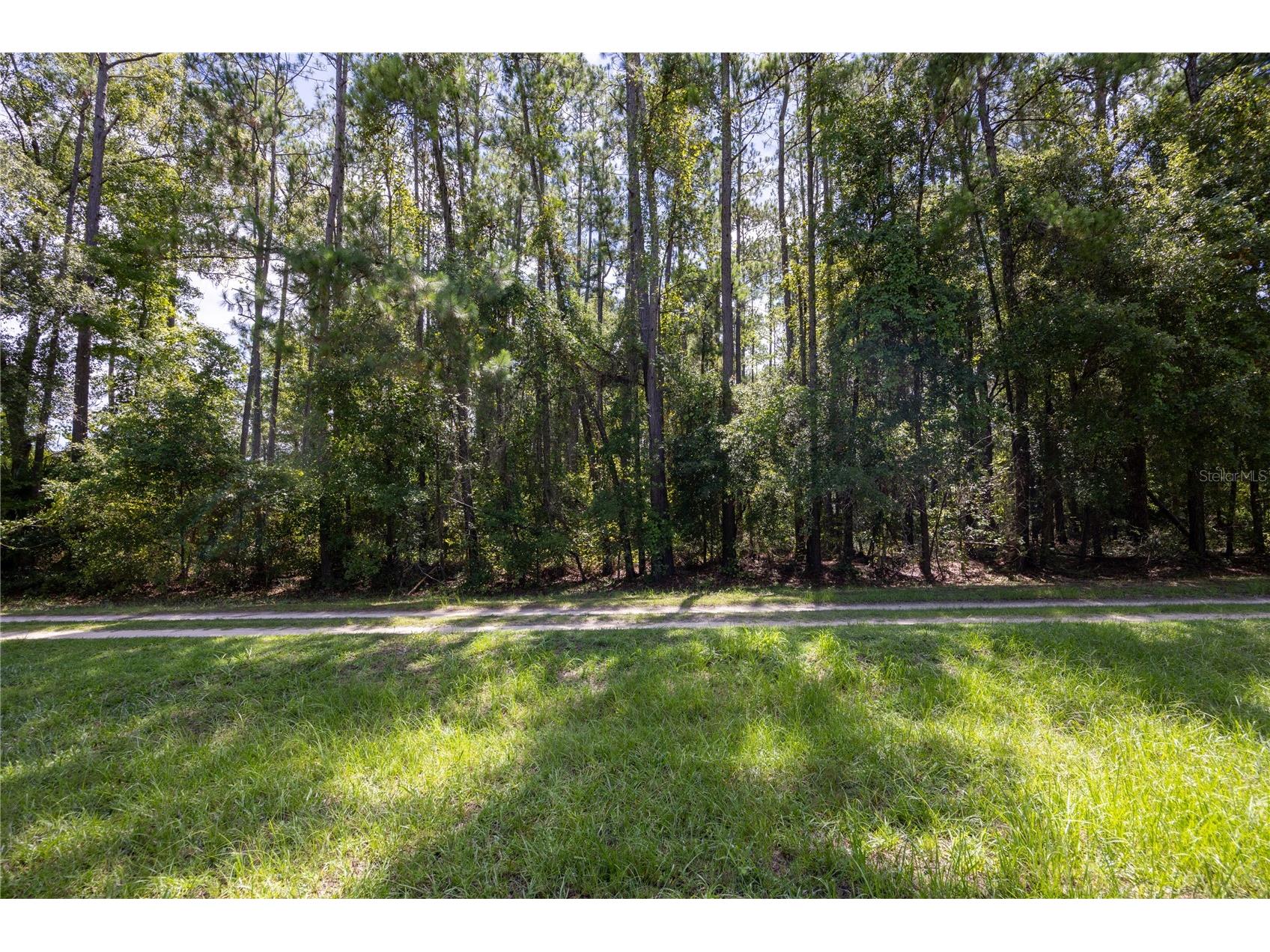 0 SE Hawthorne Road Hawthorne FL 32640 GC524086 image4