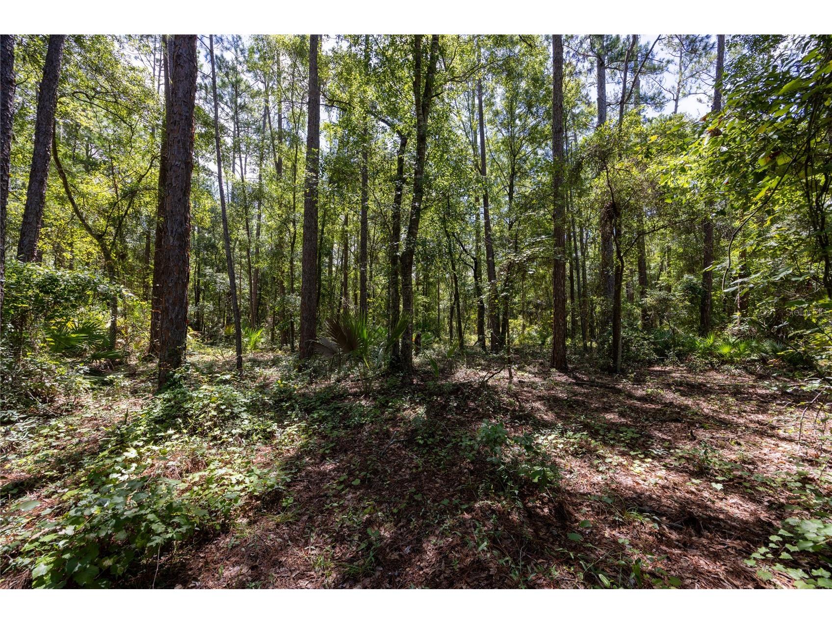 0 SE Hawthorne Road Hawthorne FL 32640 GC524086 image6