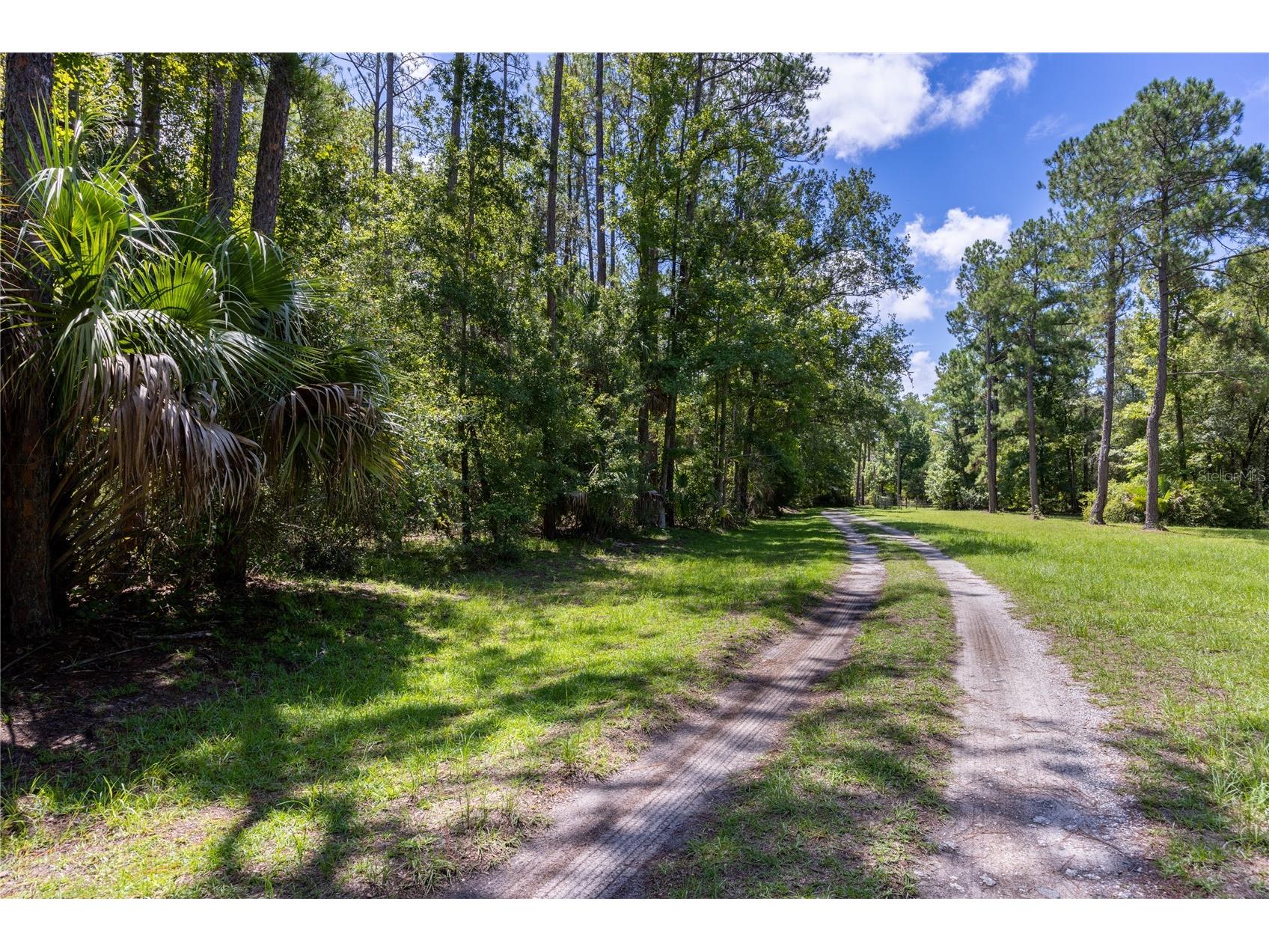 0 SE Hawthorne Road Hawthorne FL 32640 GC524086 image7