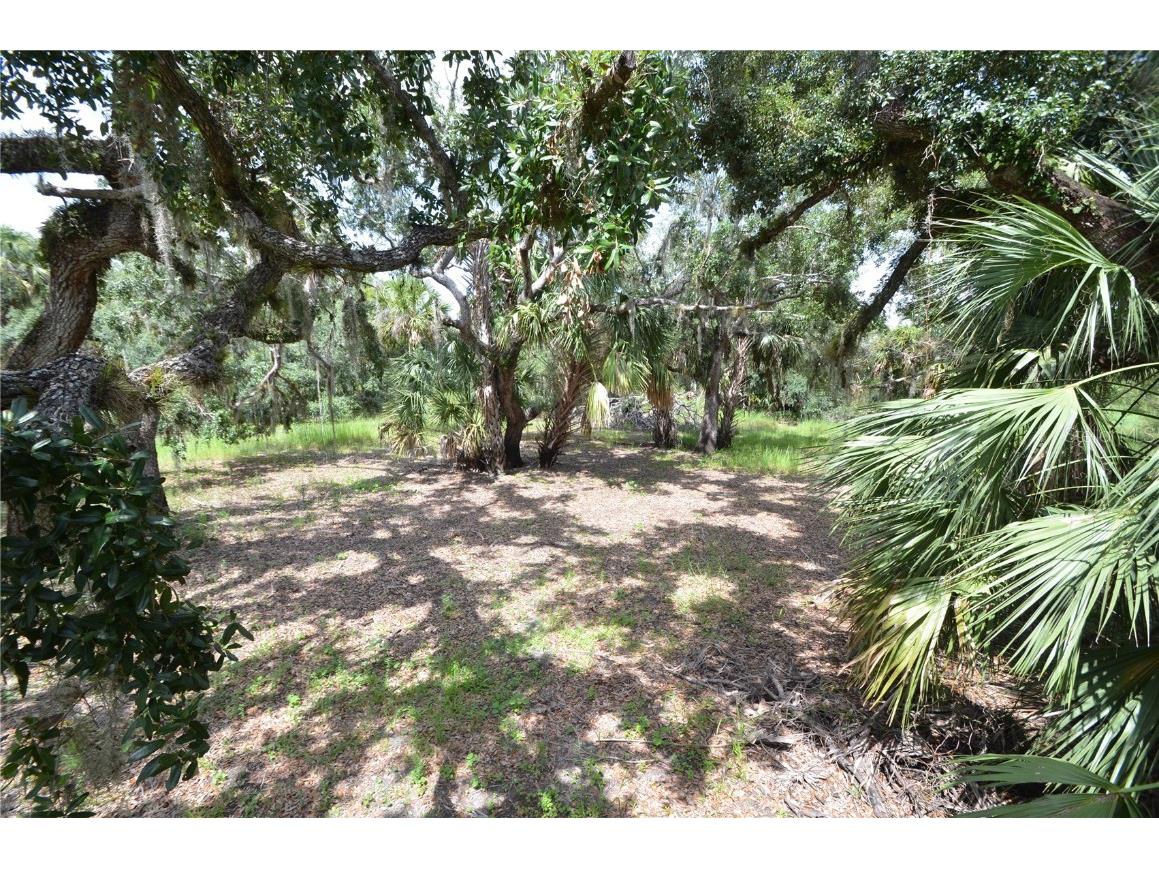 0 SE Highway 31 Arcadia FL 34266 - Prairie Creek C7511702 image35