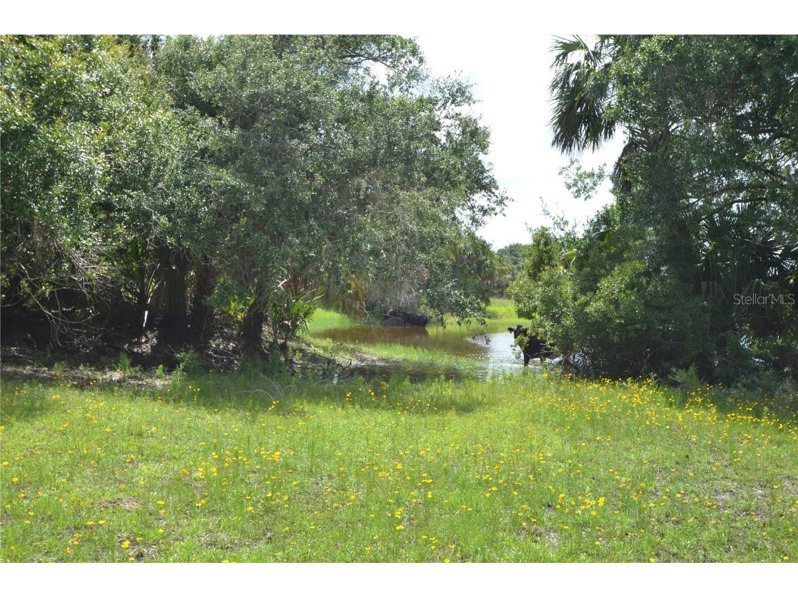 0 SE Highway 31 Arcadia FL 34266 - Prairie Creek C7511702 image39