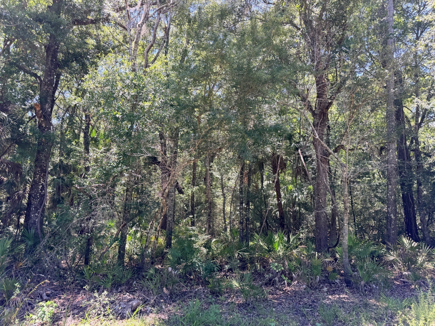 0 SE Hwy 19 Inglis FL 34449 - WACCASASSA RIVER GC541745 image3