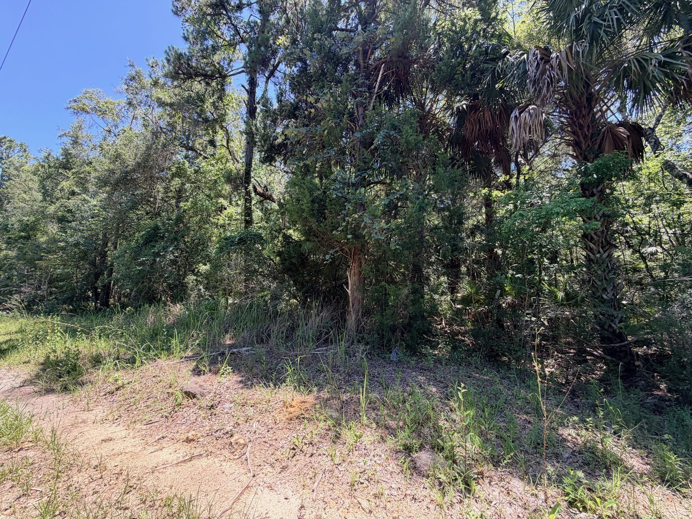 0 SE Hwy 19 Inglis FL 34449 - WACCASASSA RIVER GC541745 image5