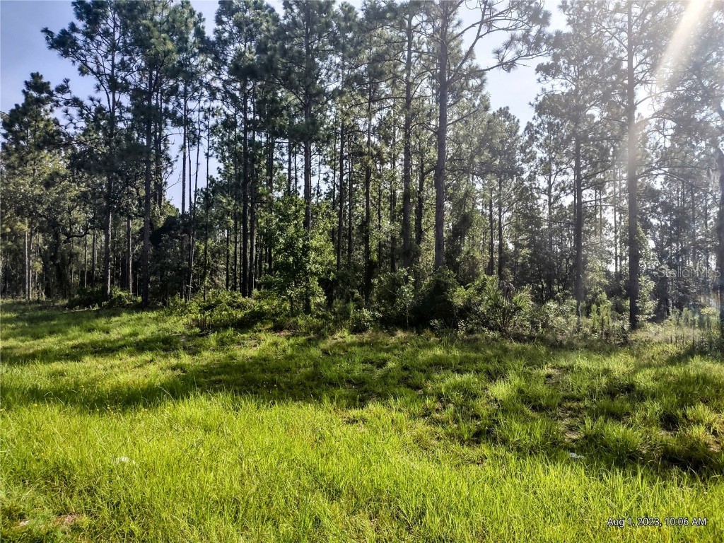 0 SE Hwy 337 Morriston FL 32668 OM662039 image1