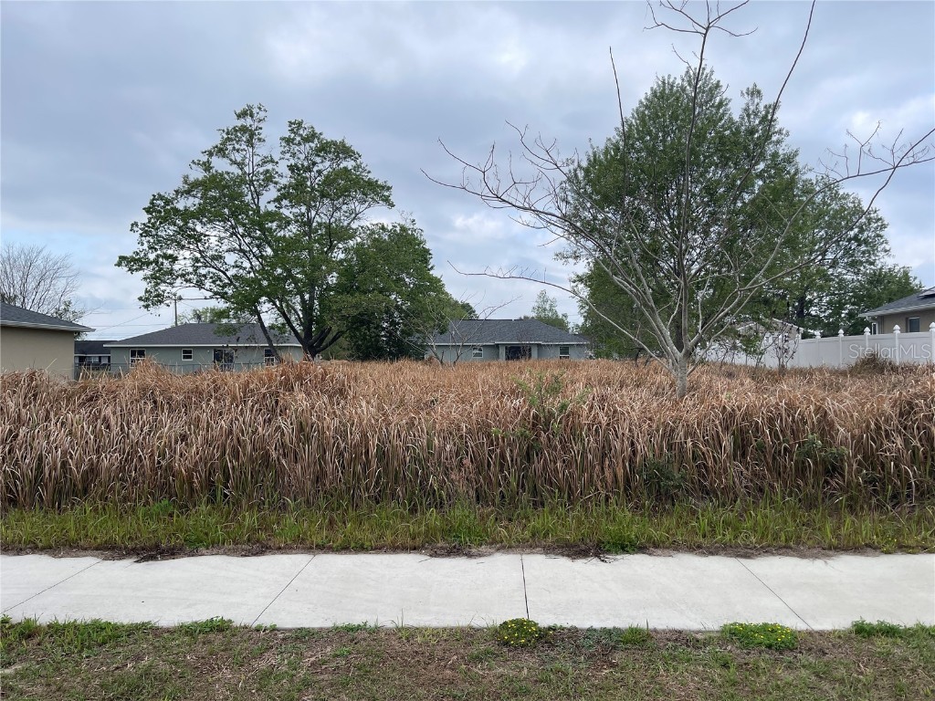 0 SE Larch Rd Ocala FL 34472 OM696836 image1