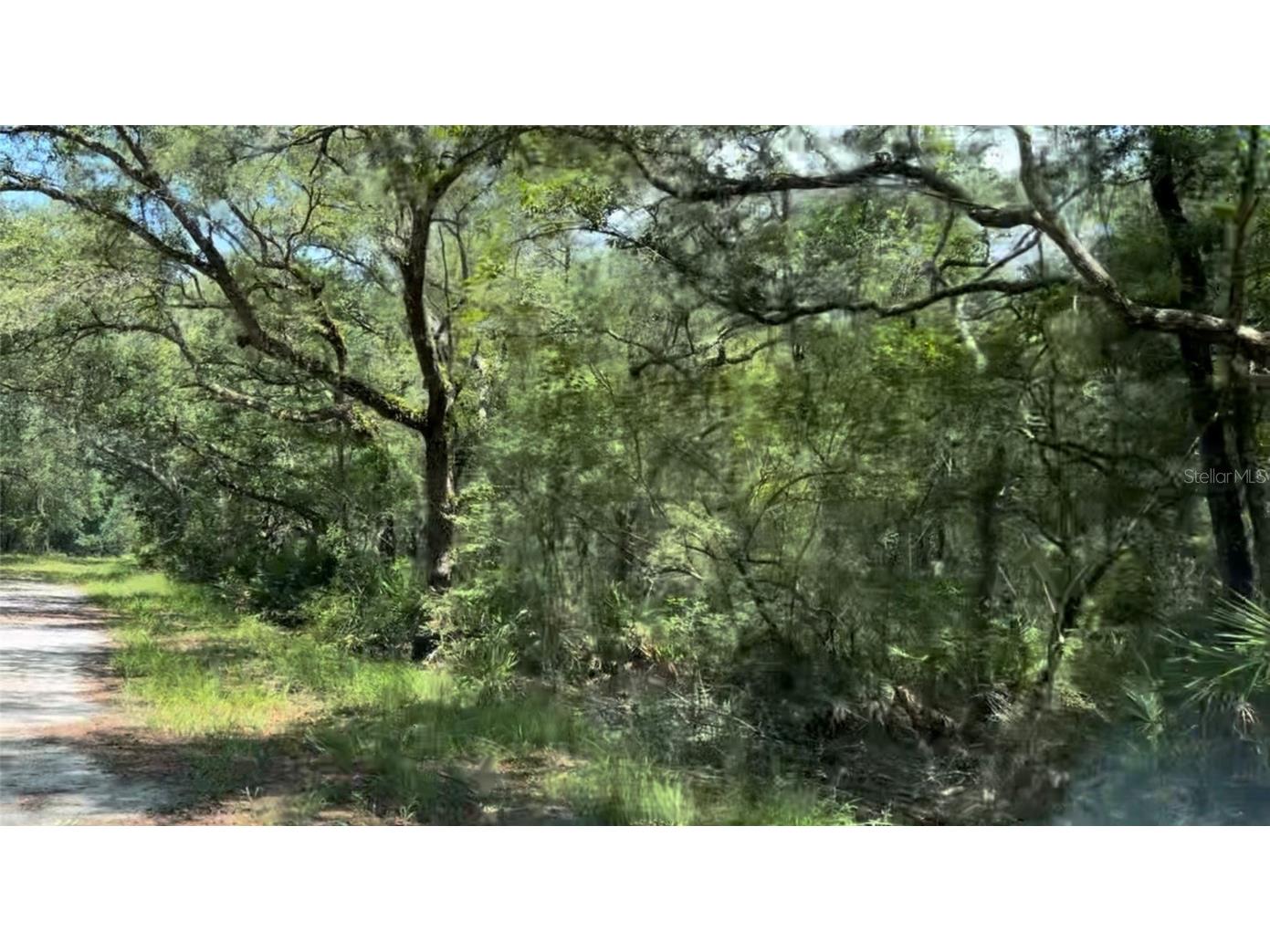 0 SE Pelican Road Branford FL 32008 U8206554 image1