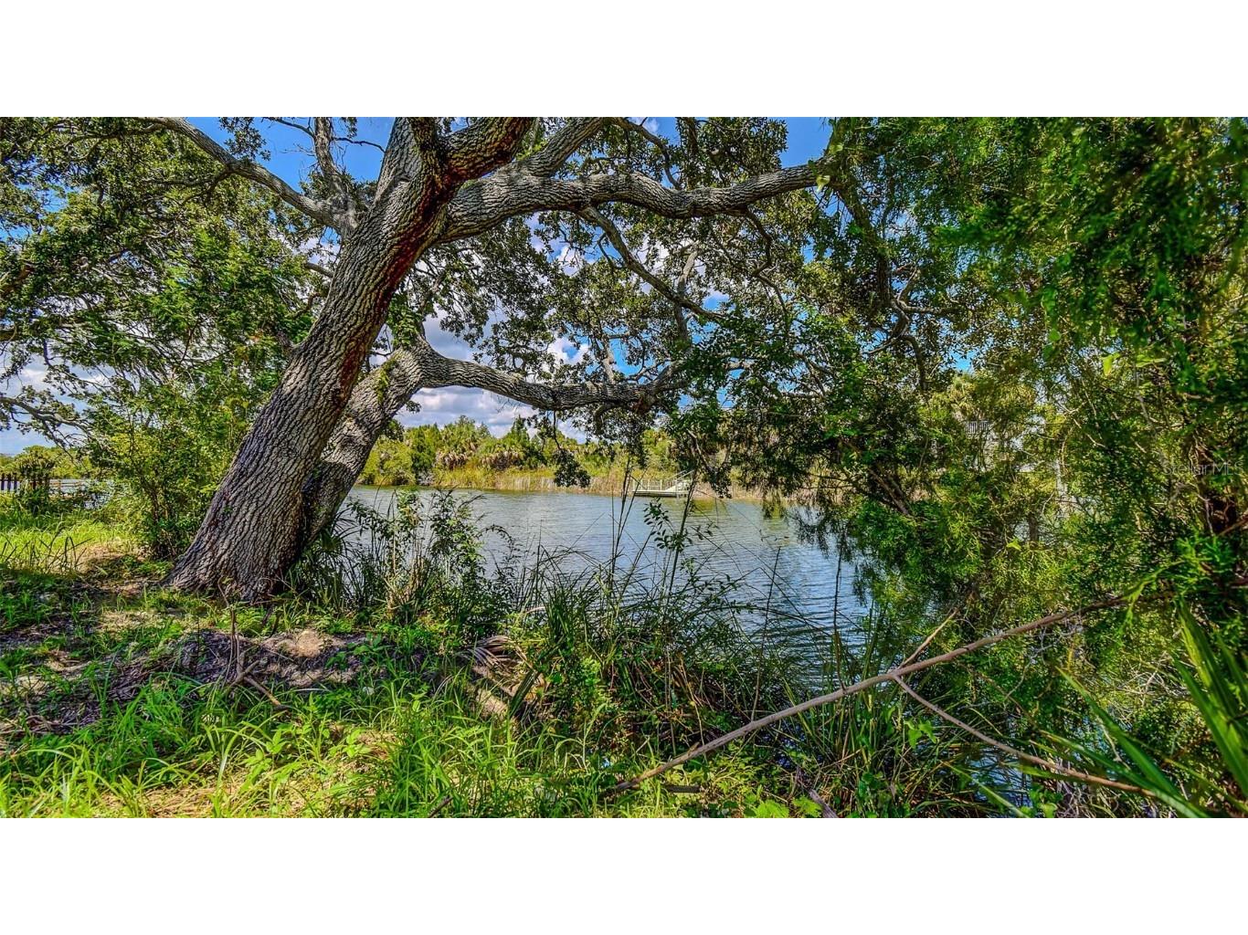 0 Sea Grape Drive #LOT 10 Hernando Beach FL 34607 TB8387837 image6