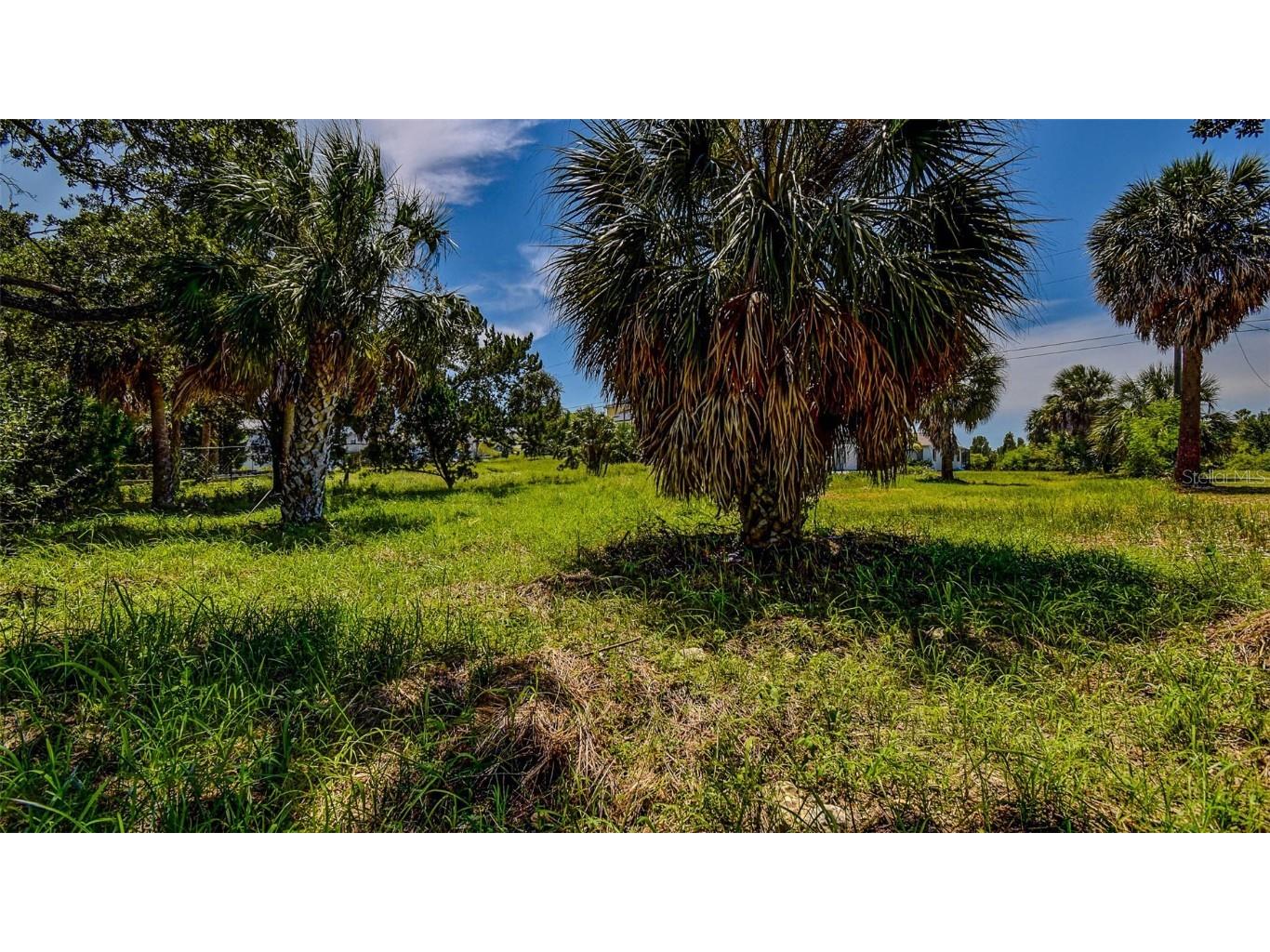 0 Sea Grape Drive #LOT 10 Hernando Beach FL 34607 TB8387837 image8