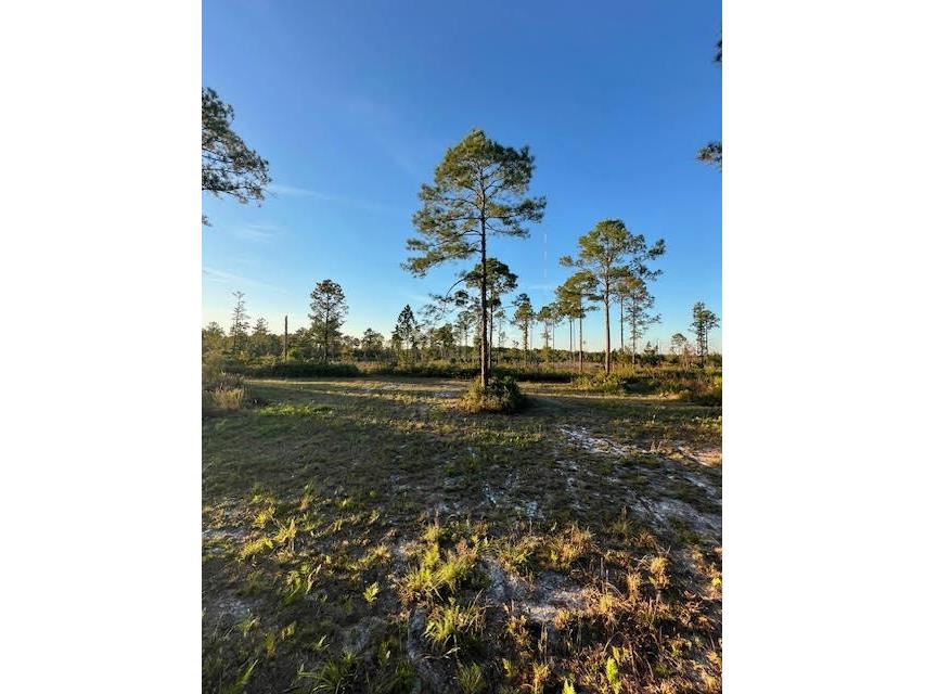 0 Seagrape Avenue Eustis FL 32736 A4672088 image1