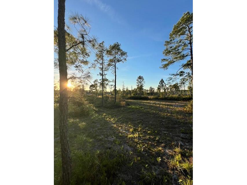 0 Seagrape Avenue Eustis FL 32736 A4672088 image2