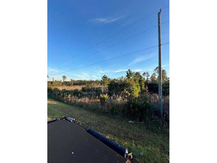 0 Seagrape Avenue Eustis FL 32736 A4672088 image4