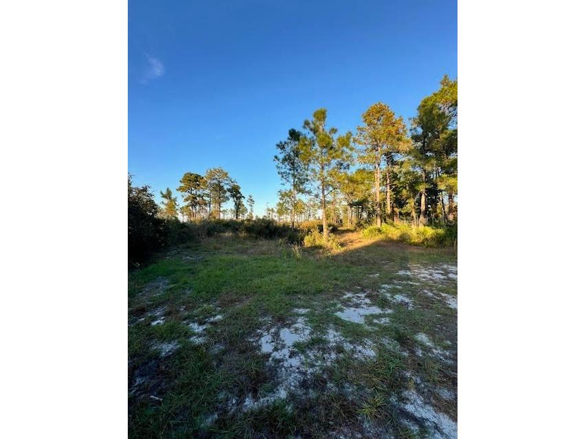 0 Seagrape Avenue Eustis FL 32736 A4672088 image5