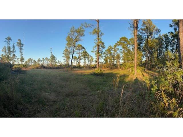 0 Seagrape Avenue Eustis FL 32736 A4672088 image6