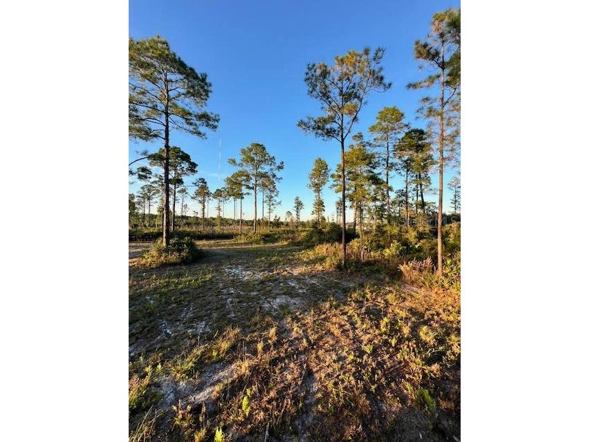 0 Seagrape Avenue Eustis FL 32736 A4672088 image7