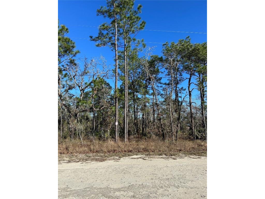 0 Seattle Wren Avenue Weeki Wachee FL 34614 W7861651 image1