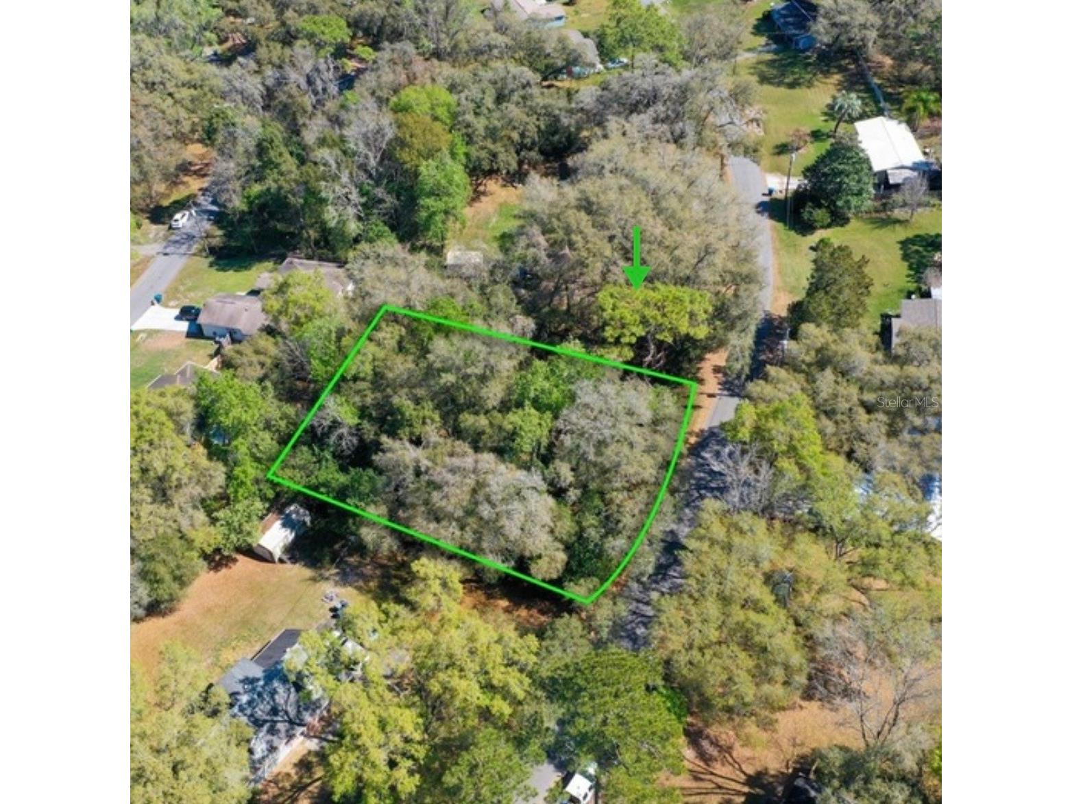 0 Seidel Street Brooksville FL 34602 TB8467530 image1
