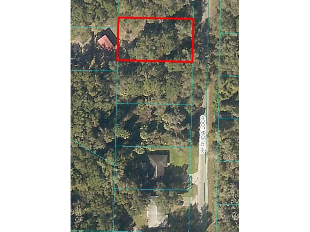 0 Sequoia Loop Ocklawaha FL 32179 OM702804 image1