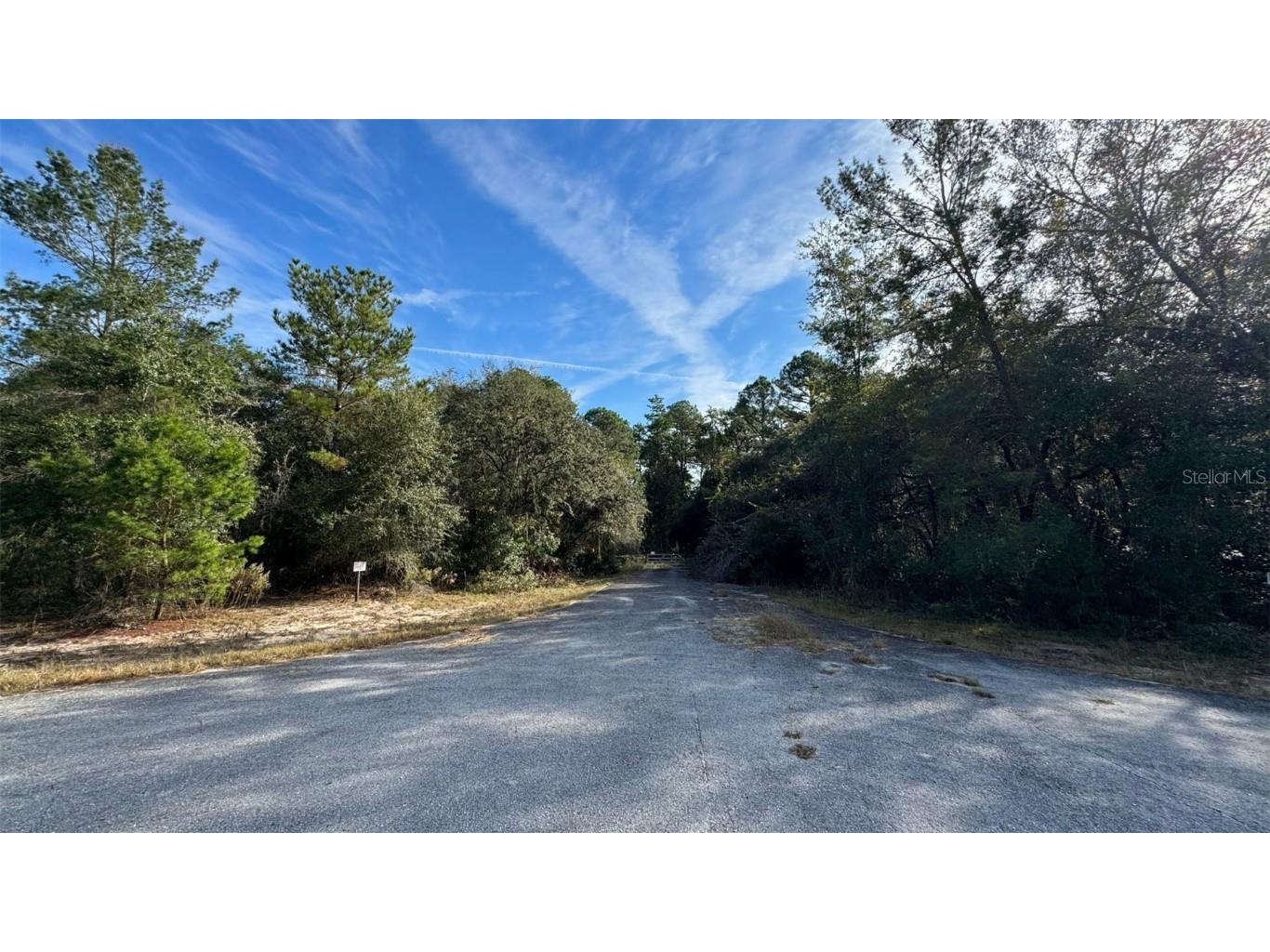 0 Sequoia Trail Ocklawaha FL 32179 A4591273 image1