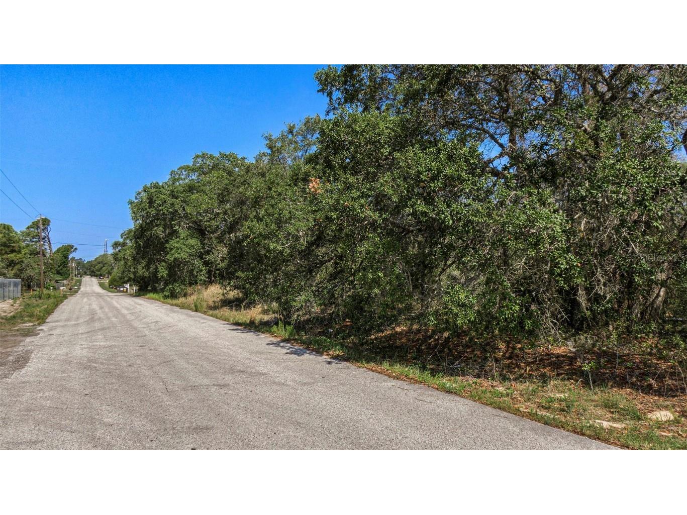 0 Shady Hills Spring Hill FL 34610 TB8456038 image12