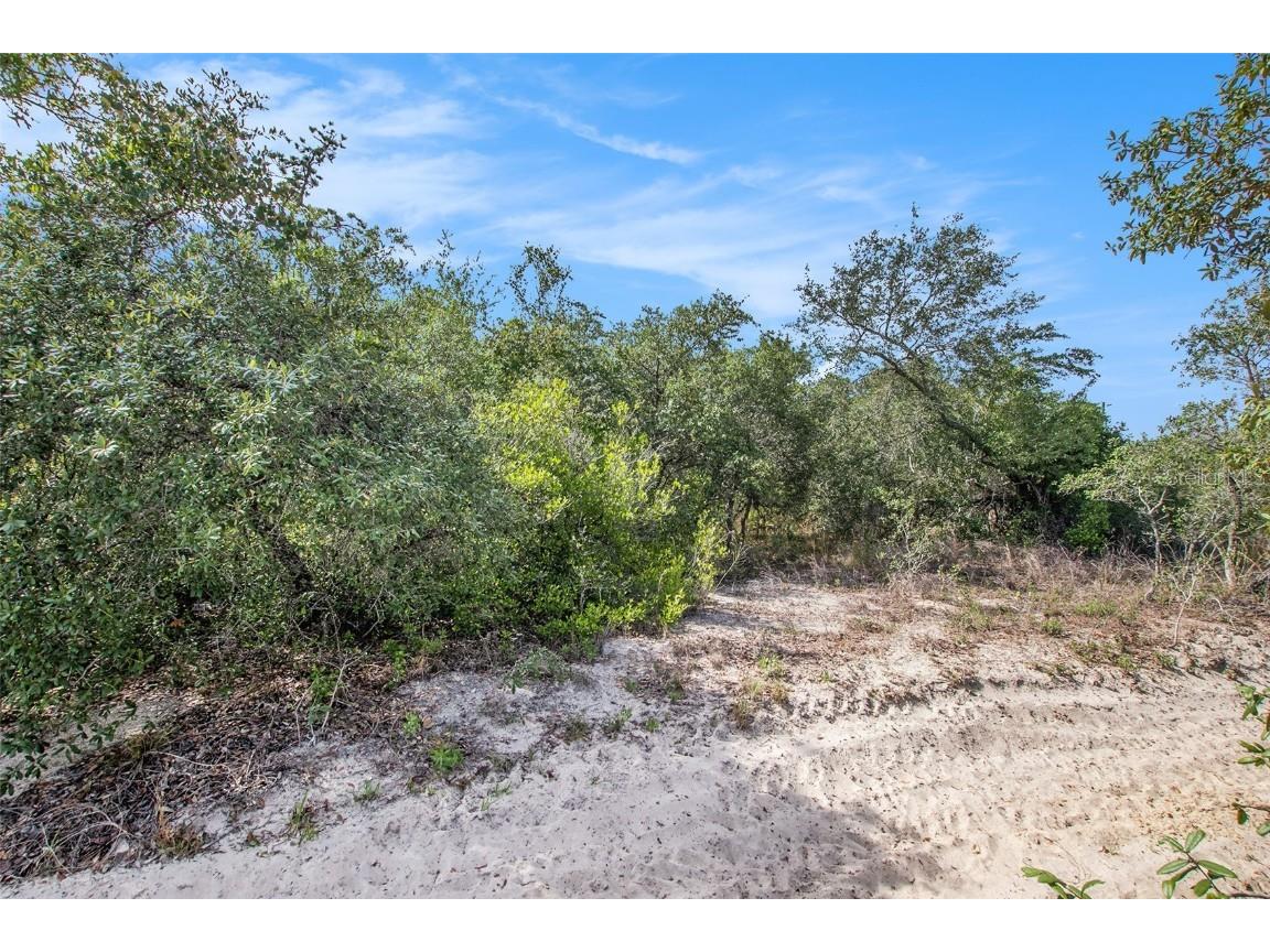 0 Shady Hills Spring Hill FL 34610 TB8456038 image14