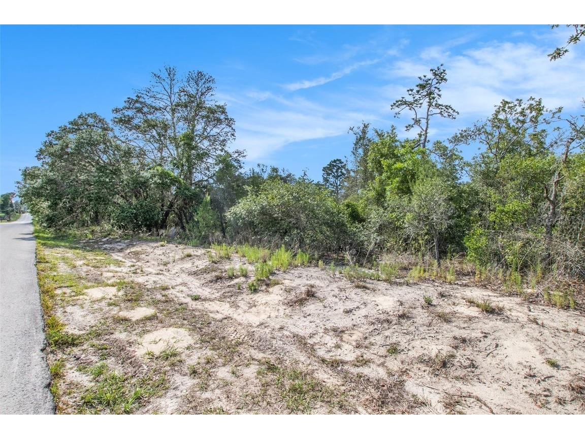 0 Shady Hills Spring Hill FL 34610 TB8456038 image15