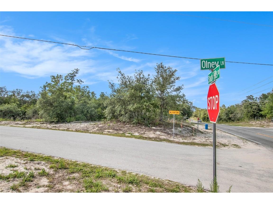 0 Shady Hills Spring Hill FL 34610 TB8456038 image16