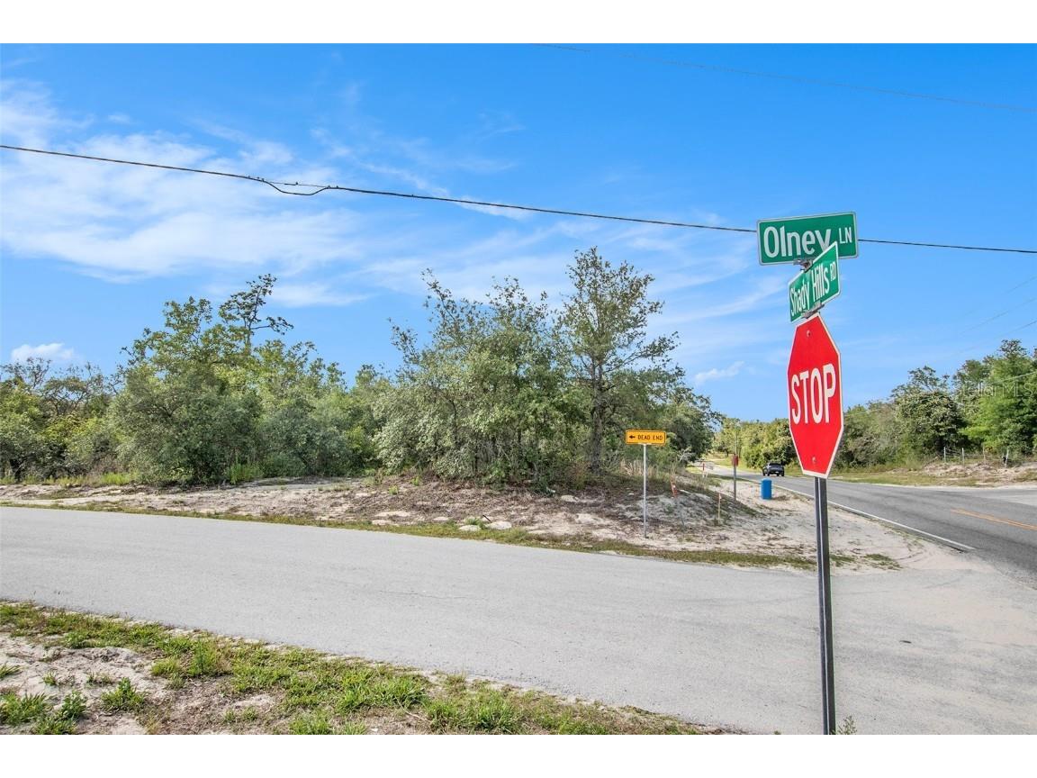 0 Shady Hills Spring Hill FL 34610 TB8456038 image17
