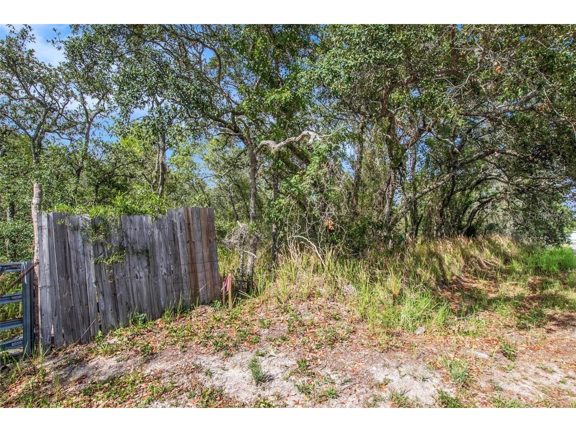 0 Shady Hills Spring Hill FL 34610 TB8456038 image18