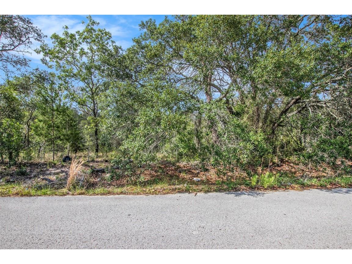 0 Shady Hills Spring Hill FL 34610 TB8456038 image19