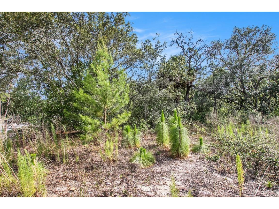0 Shady Hills Spring Hill FL 34610 TB8456038 image22