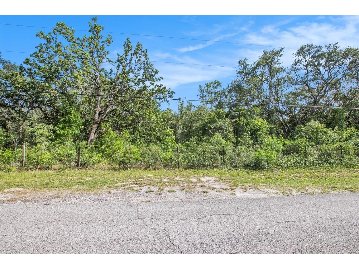 0 Shady Hills Spring Hill FL 34610 TB8456038 image23