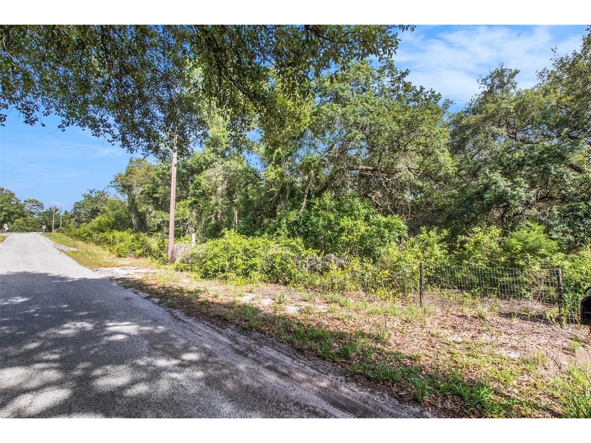 0 Shady Hills Spring Hill FL 34610 TB8456038 image24